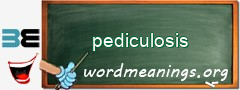 WordMeaning blackboard for pediculosis